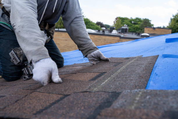 Best Shingle Roofing Installation  in Herculaneum, MO